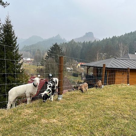Natur Resort Jetrichovice Esterno foto