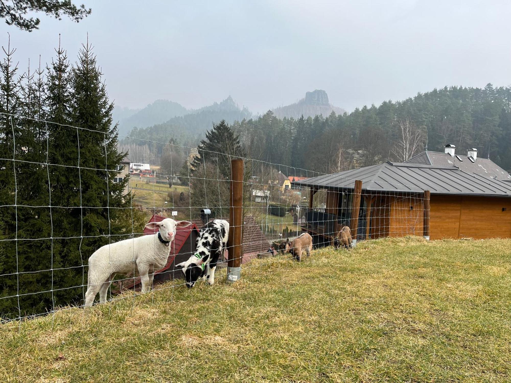 Natur Resort Jetrichovice Esterno foto